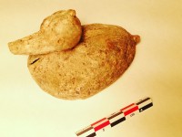 Connaissez-vous Carlos ?